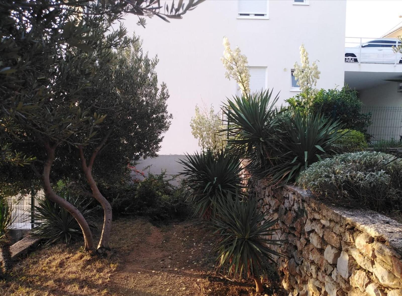 Apartment Franjo Senj  Exterior photo